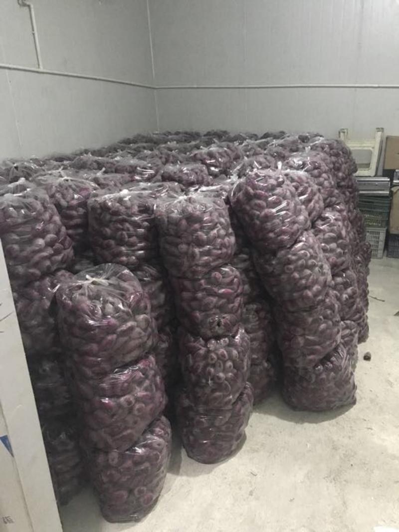越南紫薯商品薯紫心3两以上