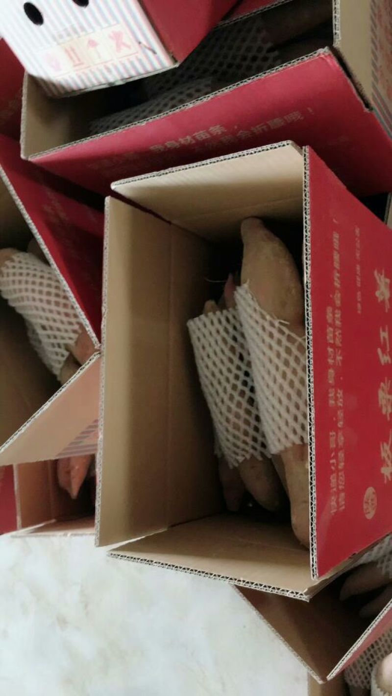 红薯