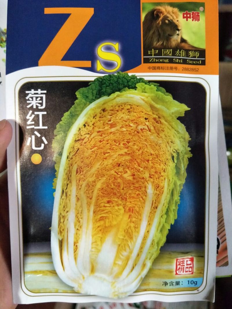 白菜种子