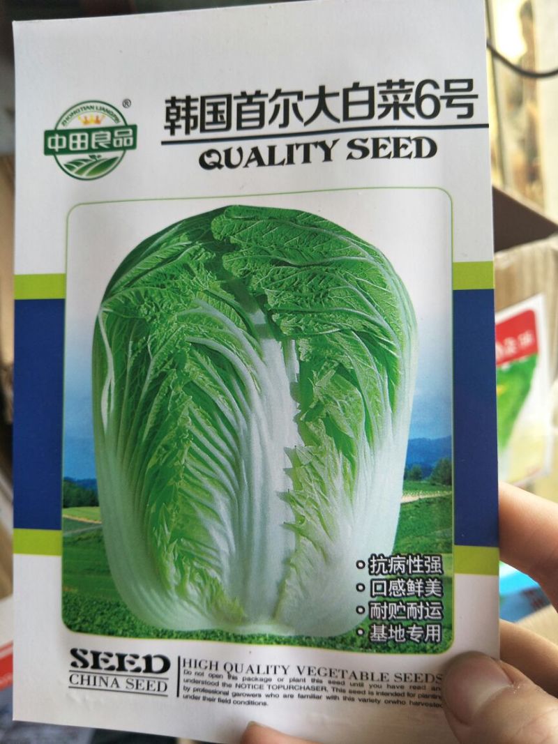 白菜种子