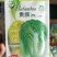 白菜种子