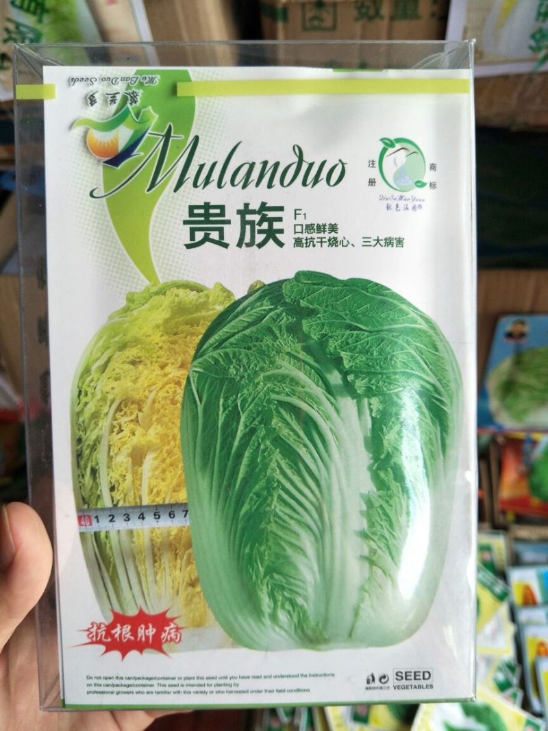 白菜种子