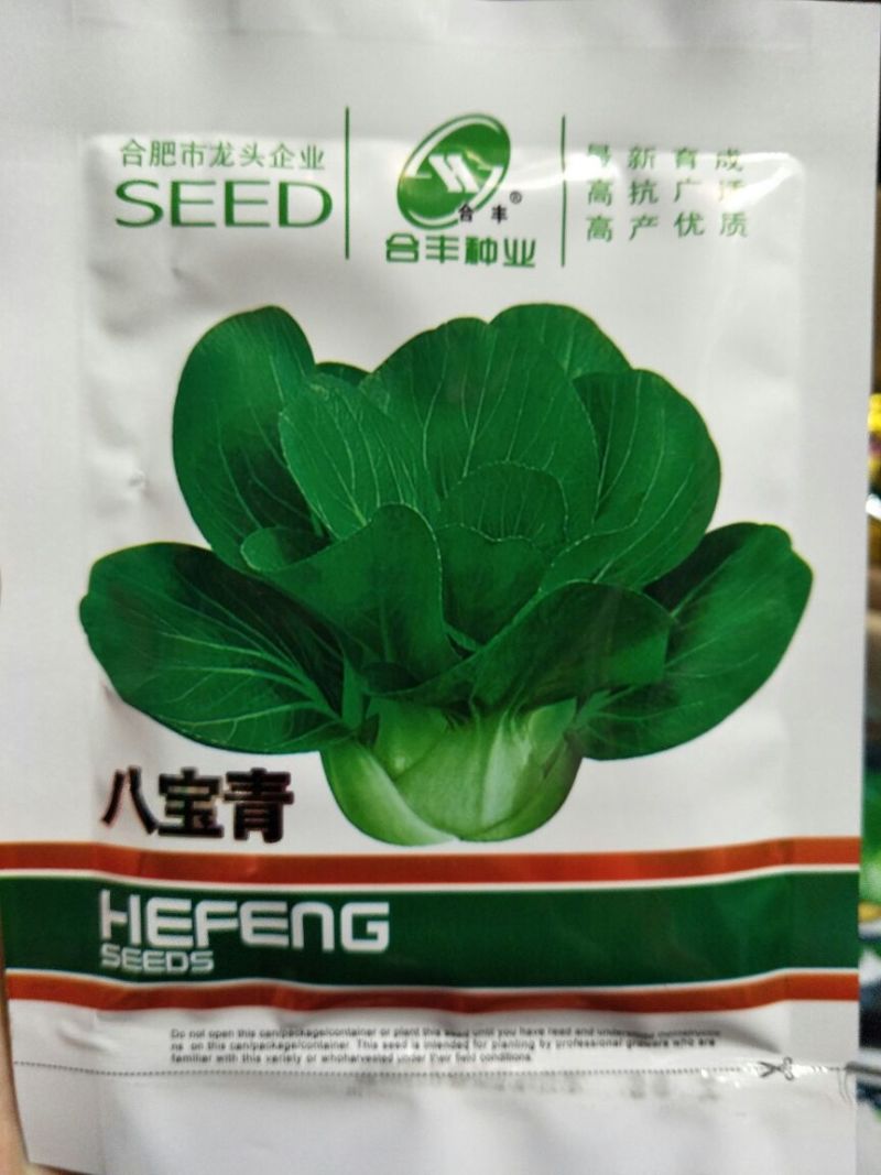 青梗菜种子