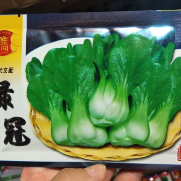 青梗菜种子