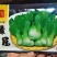 青梗菜种子