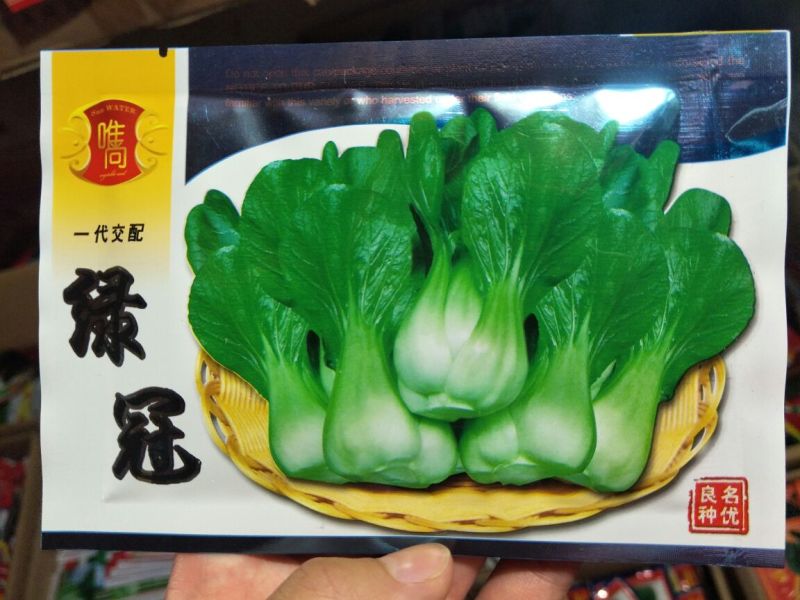 青梗菜种子