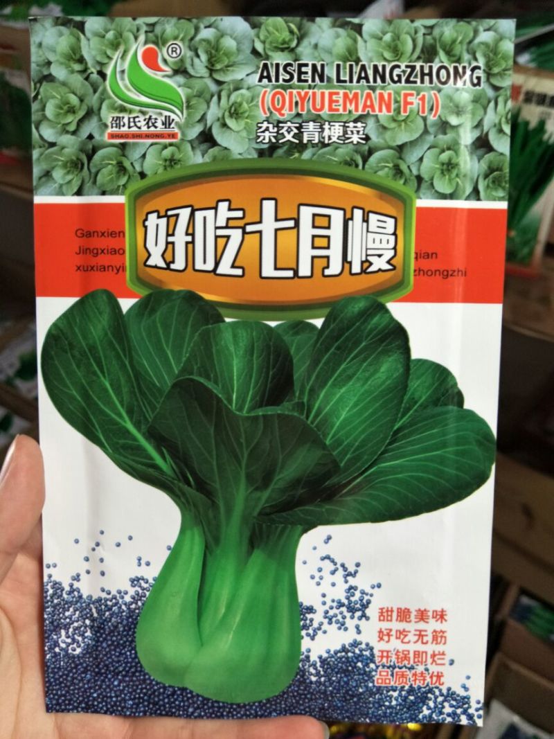 青梗菜种子