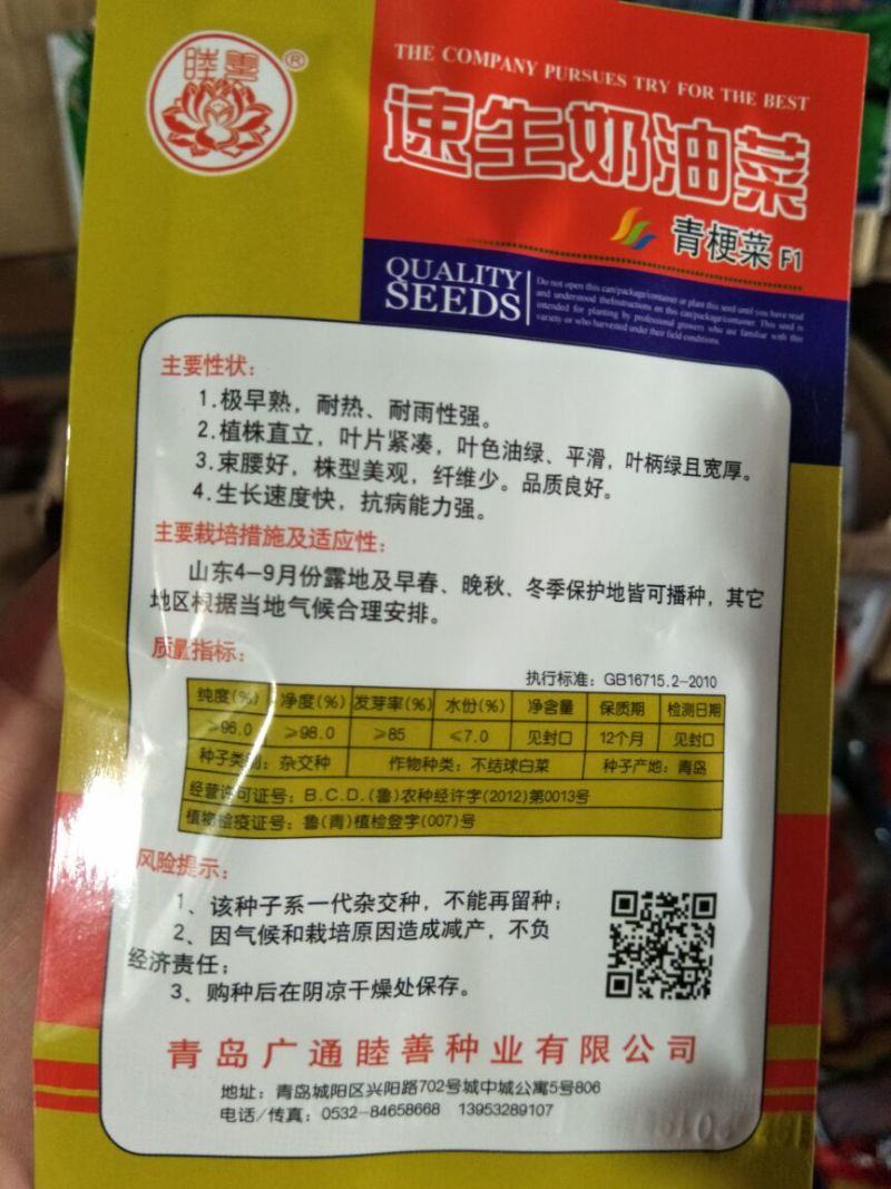 青梗菜种子