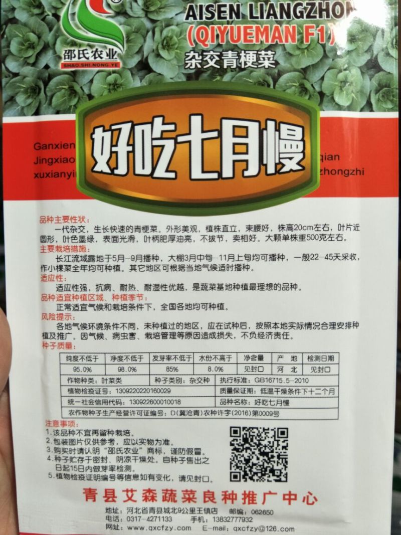 青梗菜种子