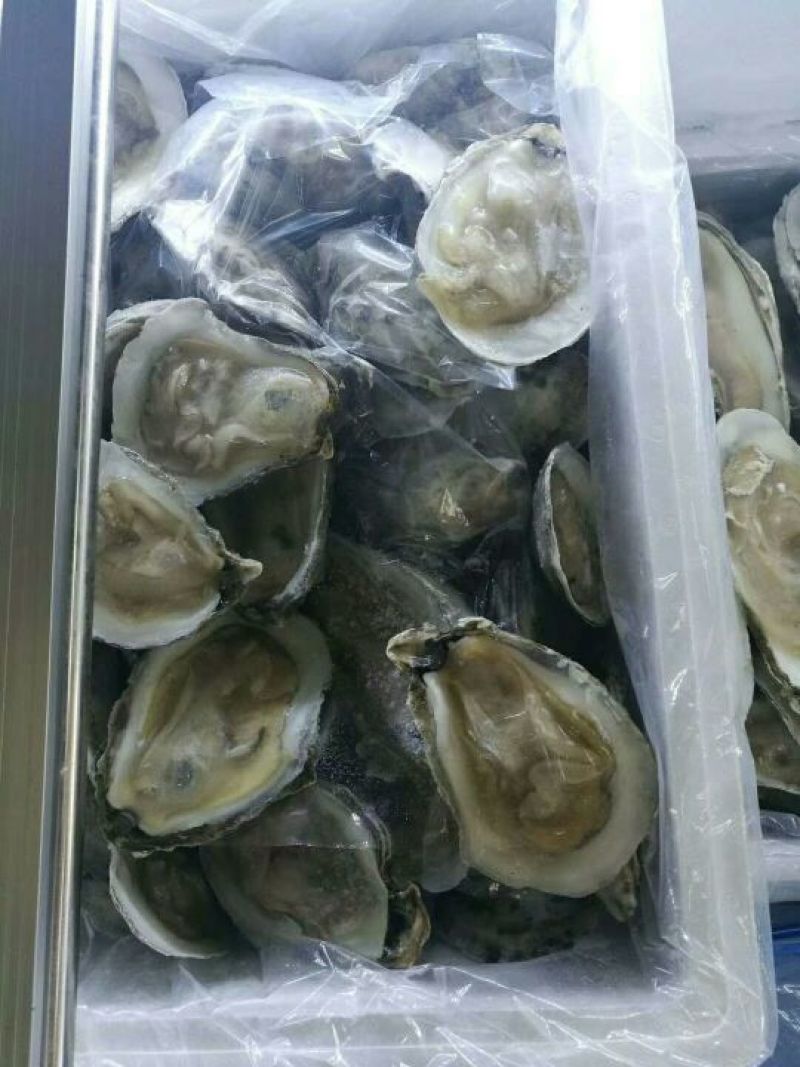 生蚝
