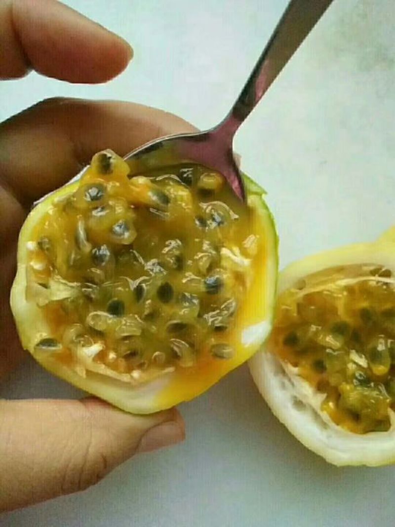 黄金百香果黄果