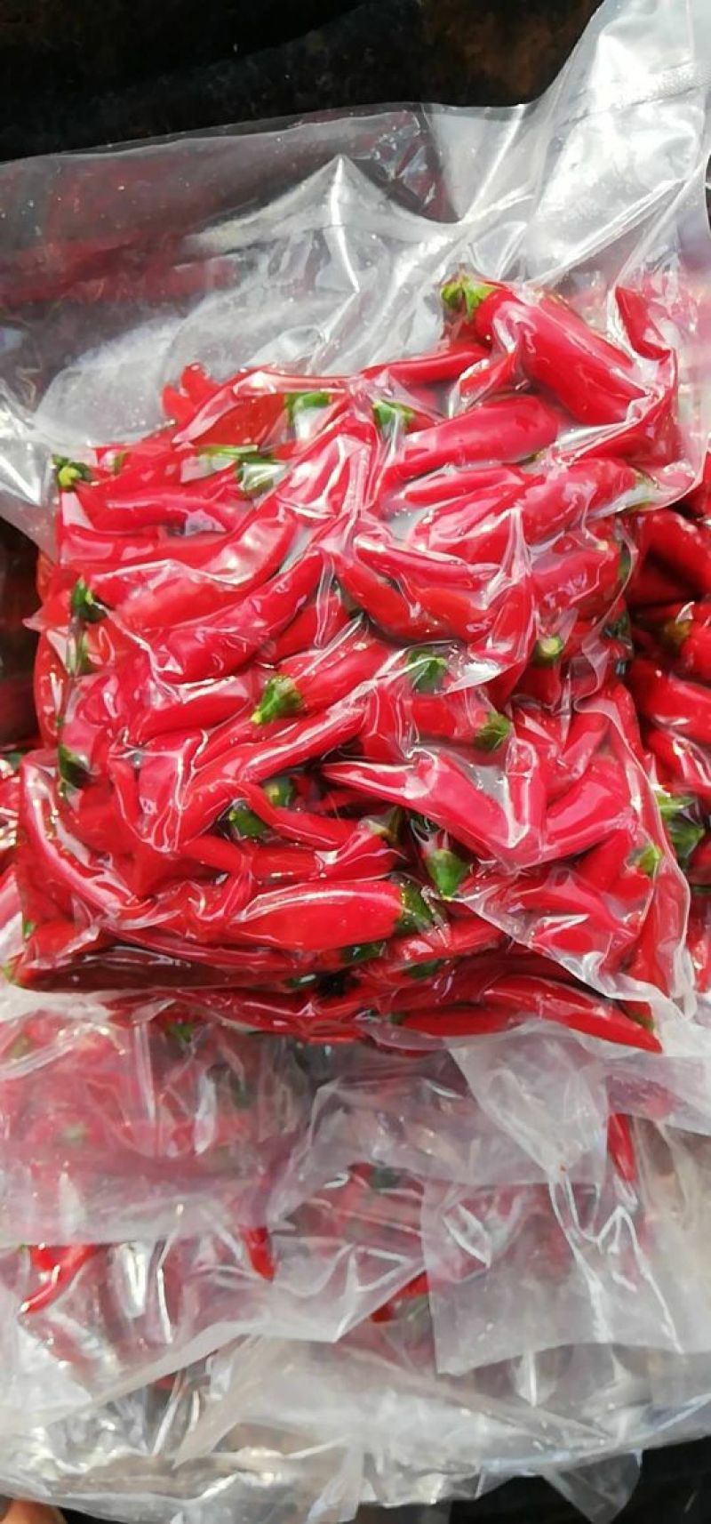 红泡椒
