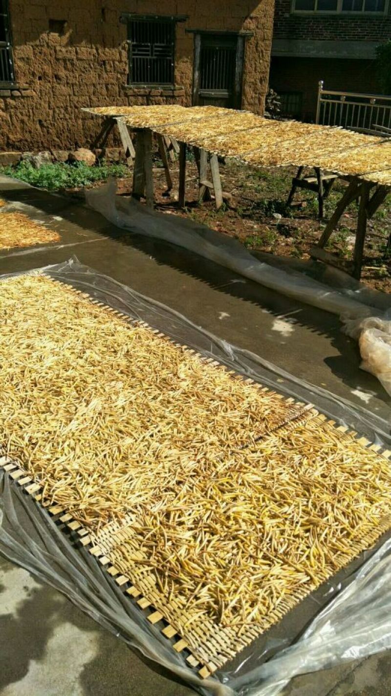 精品熟条黄花菜，产地直销，品质保证，欢迎前来咨询选购