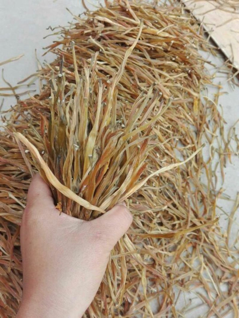 精品熟条黄花菜，产地直销，品质保证，欢迎前来咨询选购