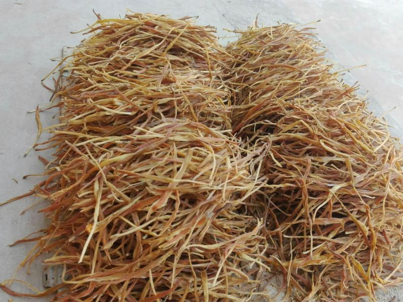 精品熟条黄花菜，产地直销，品质保证，欢迎前来咨询选购