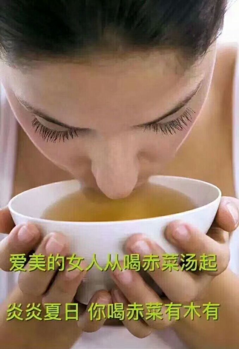 野生赤菜