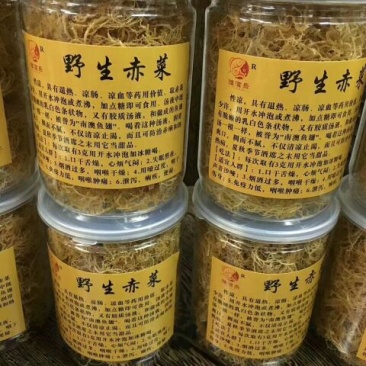 野生赤菜