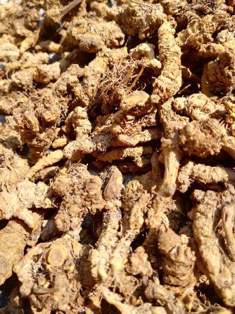 黄莲统货150一公斤