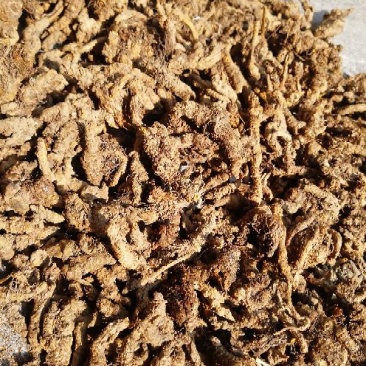 黄莲统货150一公斤