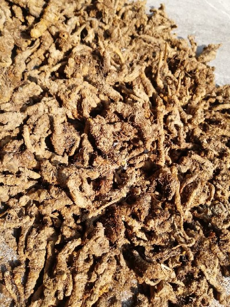 黄莲统货150一公斤