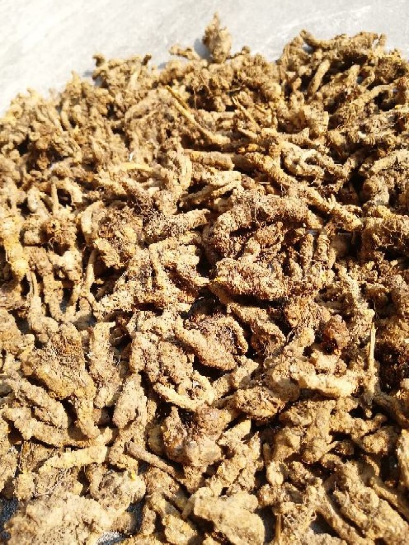 黄莲统货150一公斤