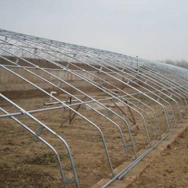 温室大棚蔬菜大棚养殖大棚食用菌大棚连栋大棚