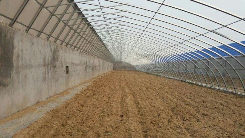 温室大棚蔬菜大棚养殖大棚食用菌大棚连栋大棚