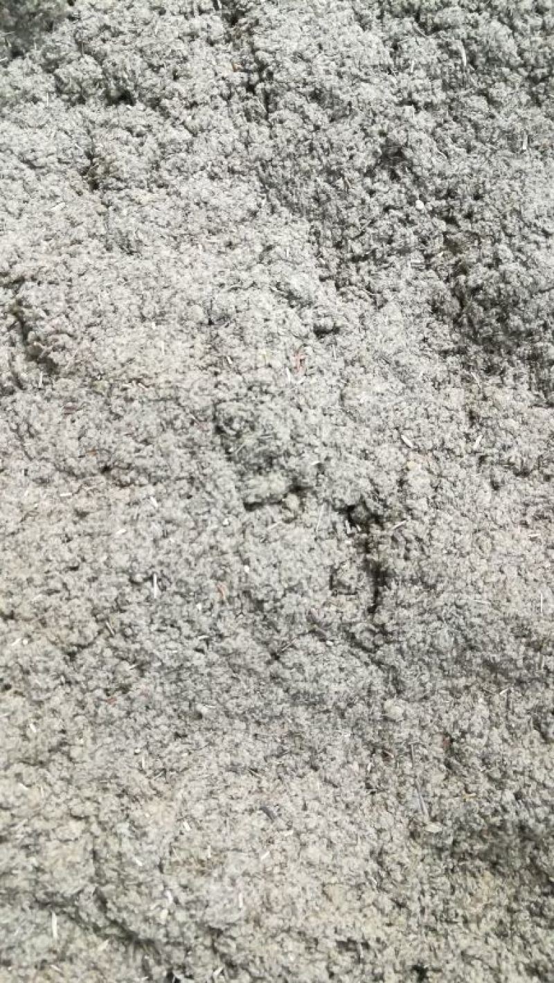 艾绒