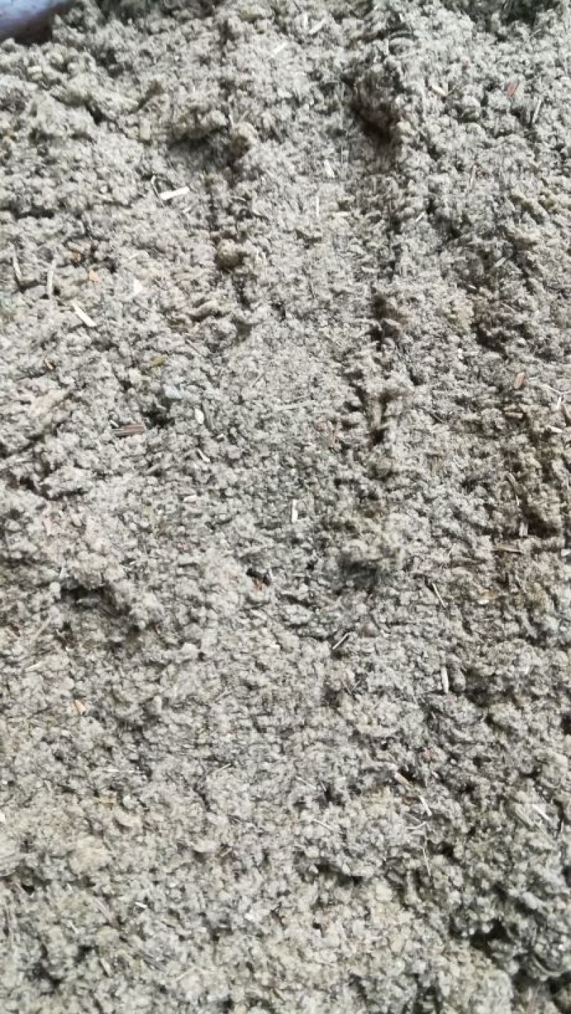 艾绒