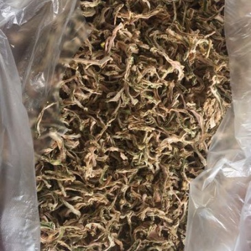 苦瓜干
