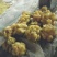 重庆涪陵榨菜