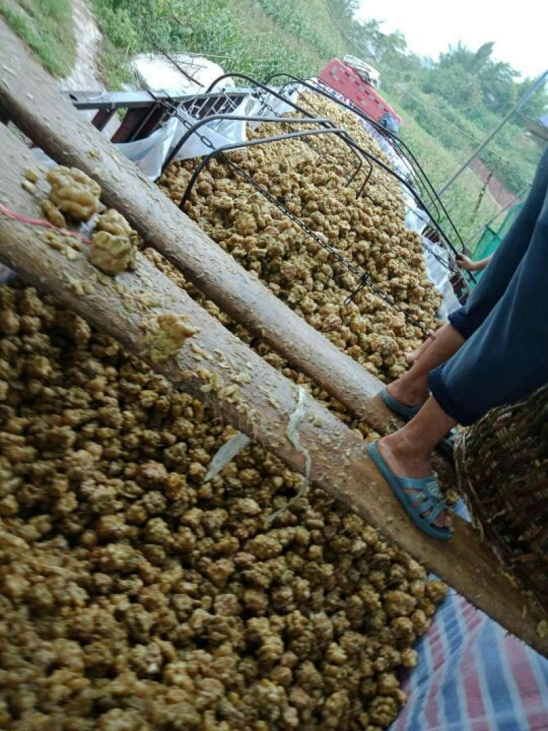 重庆涪陵榨菜