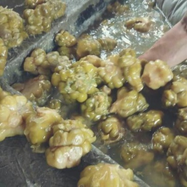 重庆涪陵榨菜