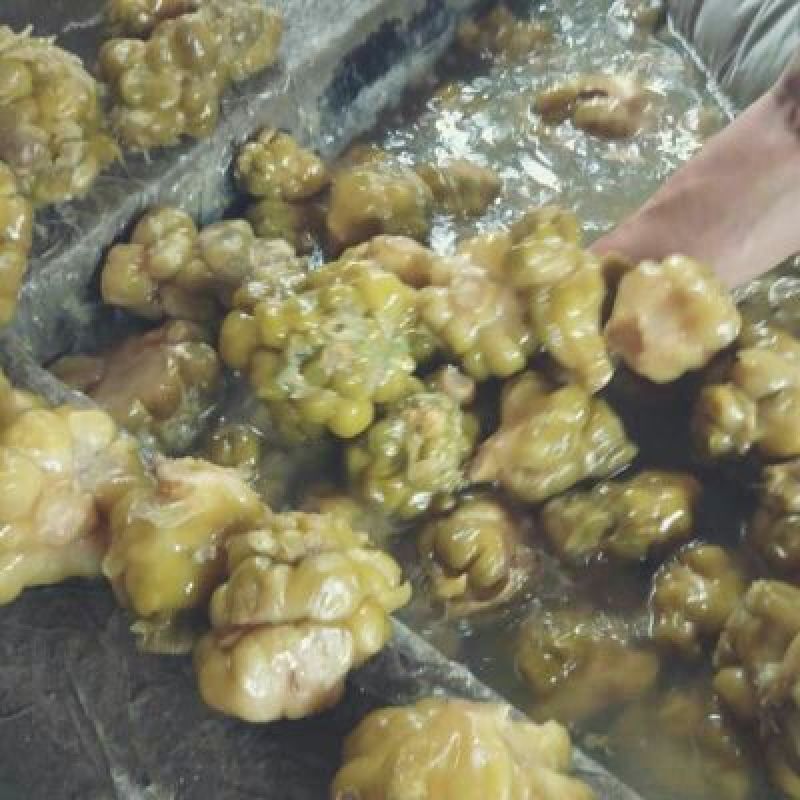 重庆涪陵榨菜