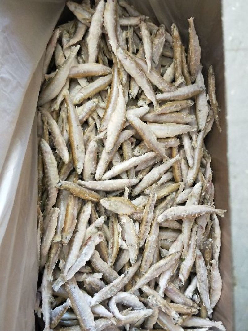 大理洱海特产，规格8一12公分