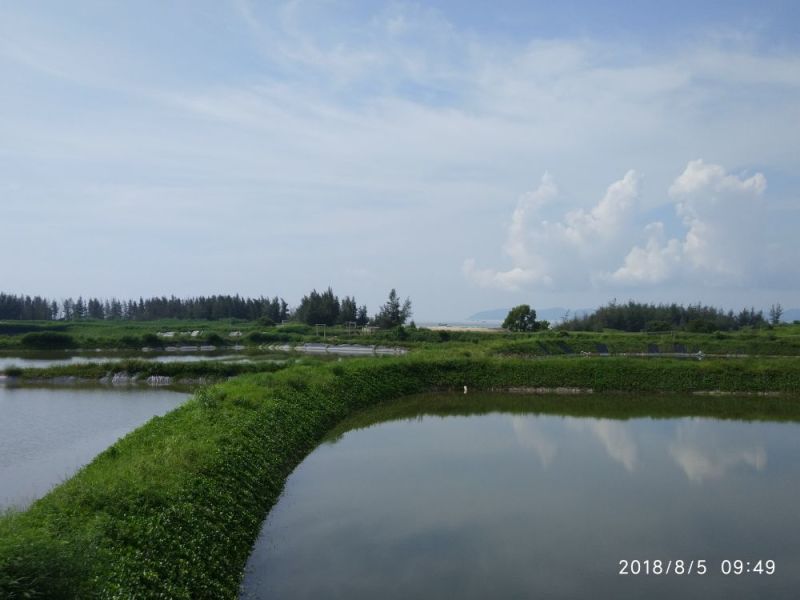 虾干基围虾虾仁纯农家绿色无任何添加
