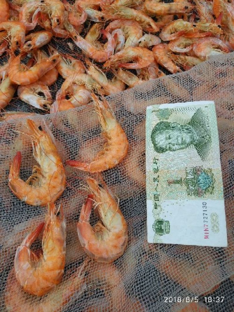 虾干基围虾虾仁纯农家绿色无任何添加