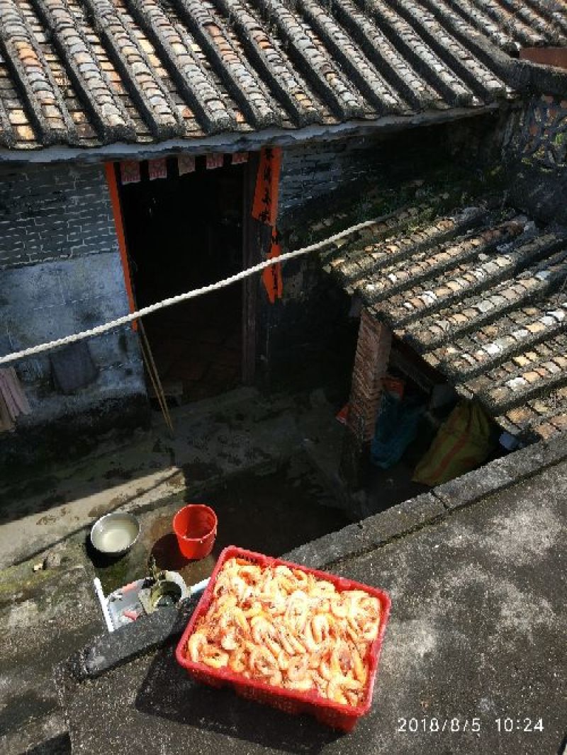 虾干基围虾虾仁纯农家绿色无任何添加