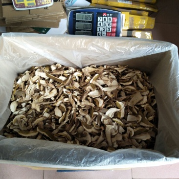 美味牛肝菌水洗精品AA级