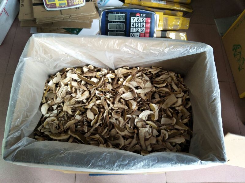 美味牛肝菌水洗精品AA级