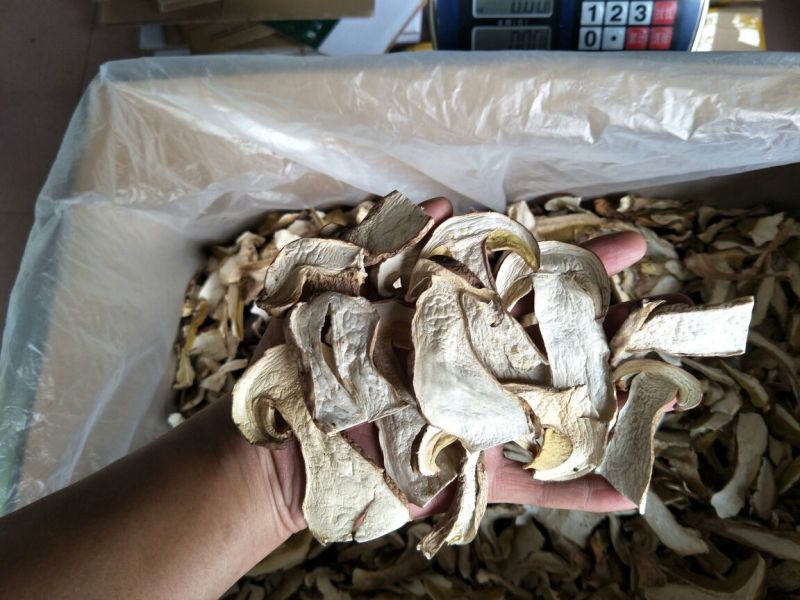 美味牛肝菌水洗精品AA级