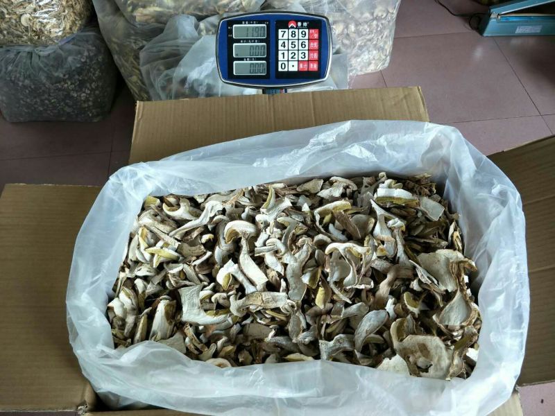 美味牛肝菌水洗精品AA级