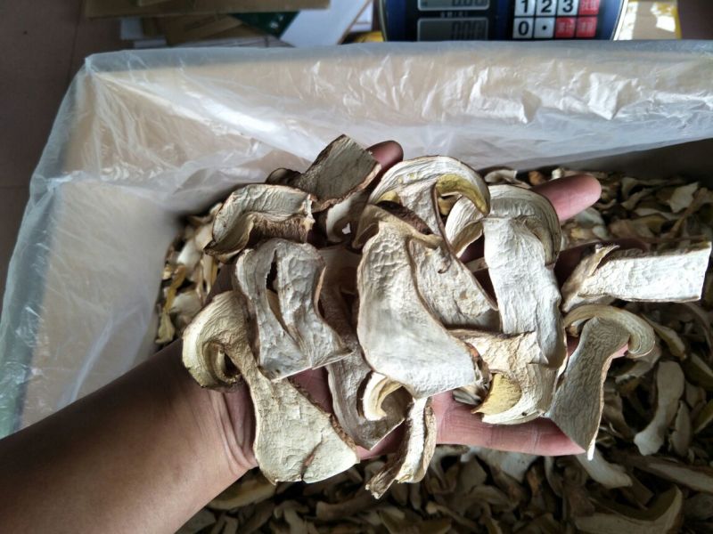 美味牛肝菌水洗精品AA级