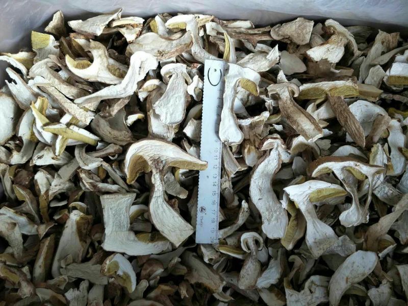 美味牛肝菌水洗精品AA级