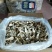 美味牛肝菌水洗精品AA级