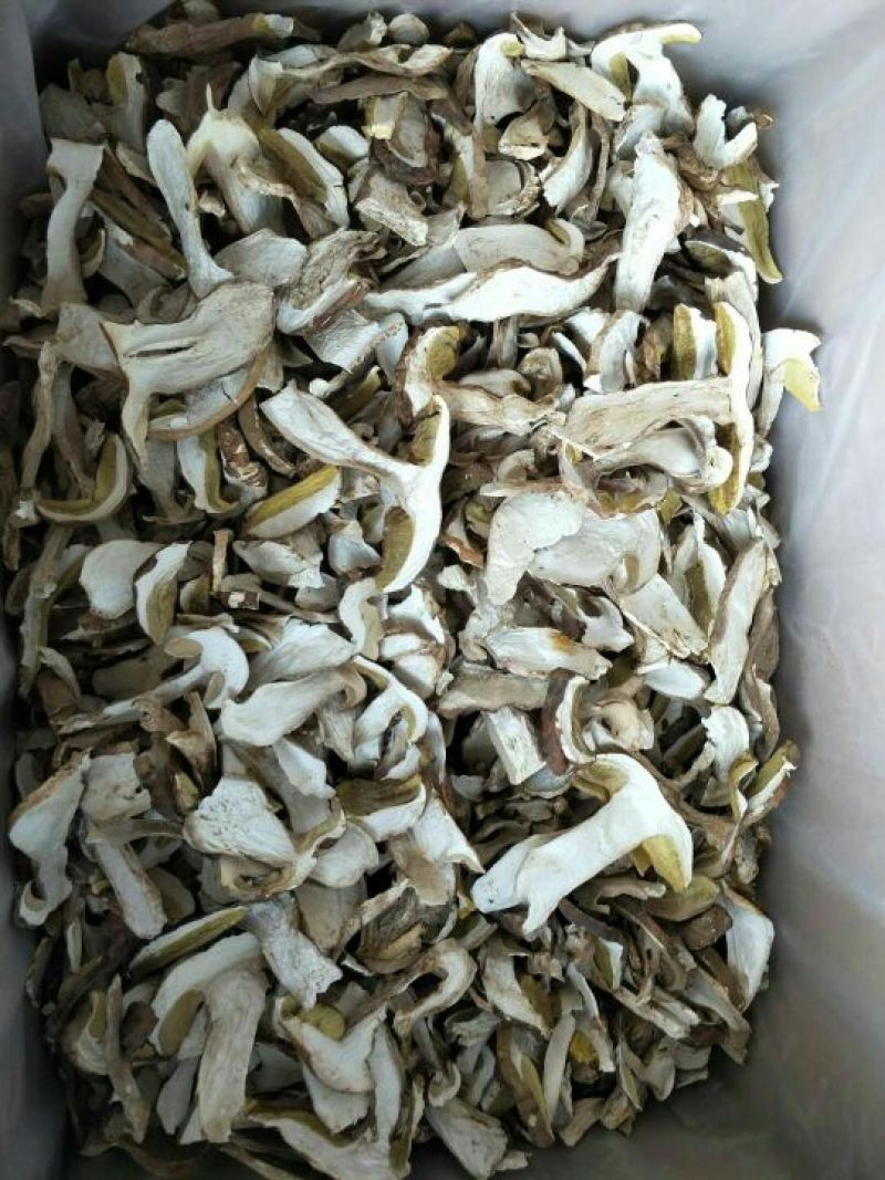 美味牛肝菌水洗精品AA级