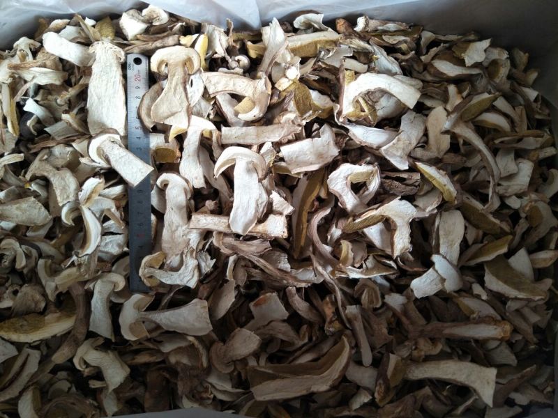 美味牛肝菌水洗精品AA级