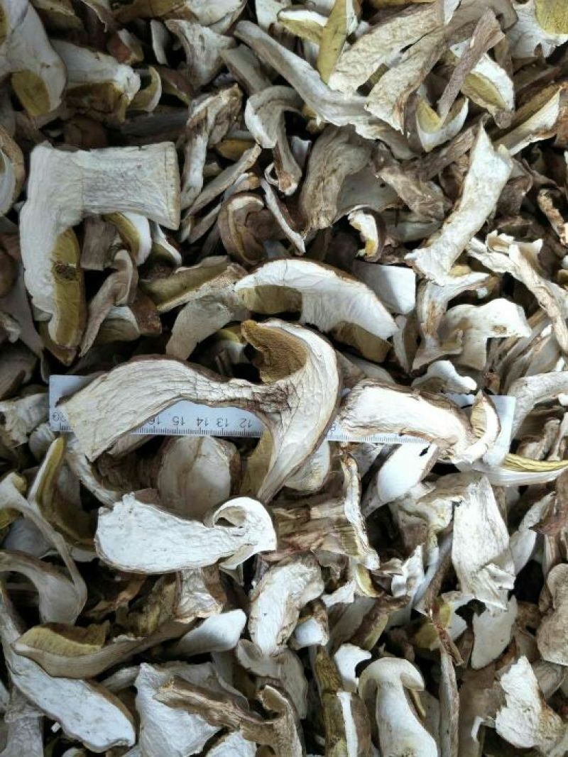 美味牛肝菌水洗精品AA级