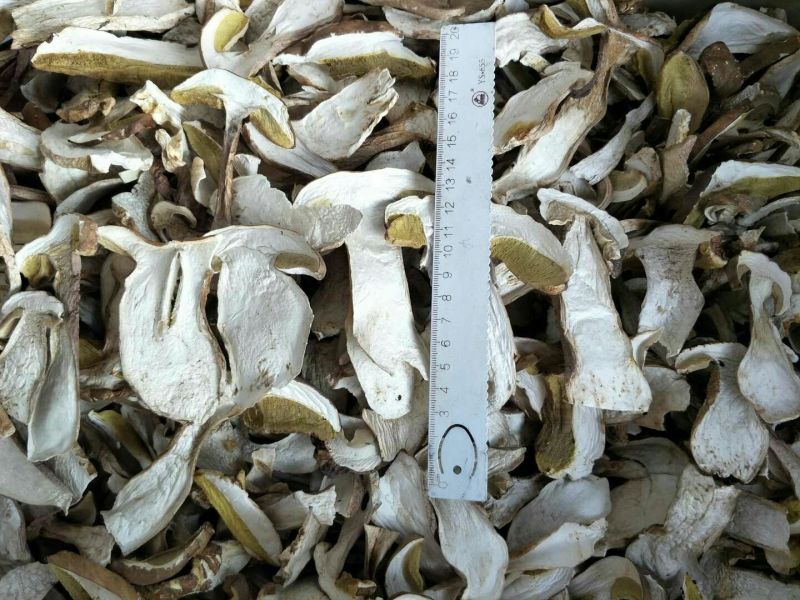 美味牛肝菌水洗精品AA级