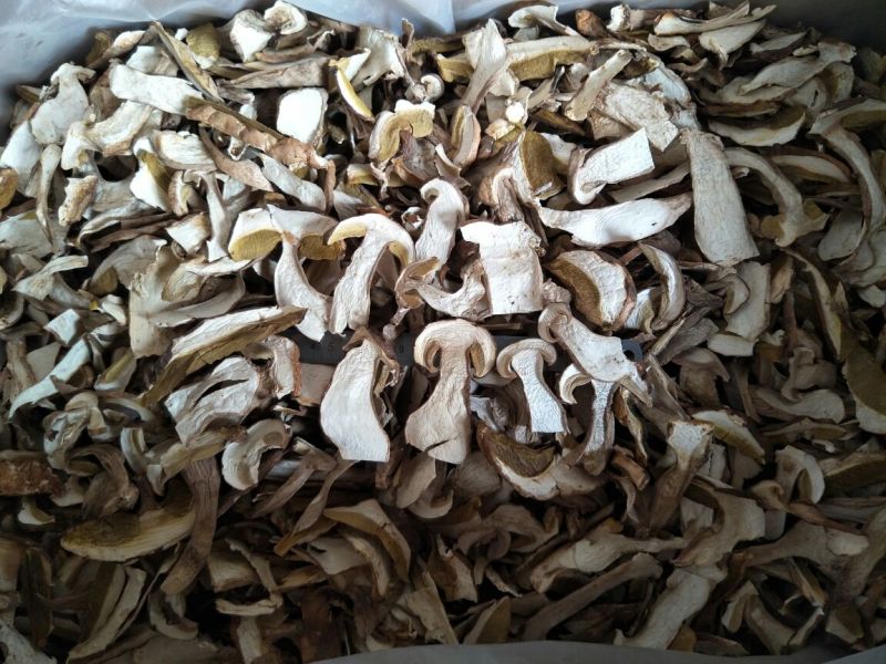 美味牛肝菌水洗精品AA级